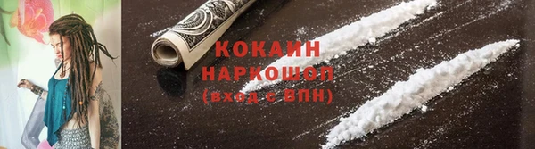 стаф Вуктыл