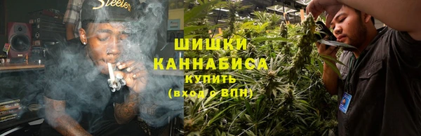 ПСИЛОЦИБИНОВЫЕ ГРИБЫ Видное