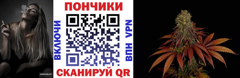 где найти наркотики  блэк спрут ССЫЛКА  МАРИХУАНА LSD WEED  Алдан 